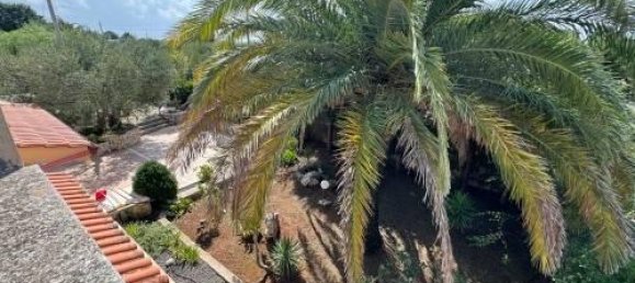 4-Zimmer Villa in Putignano, Italy, Nr. 76039 11