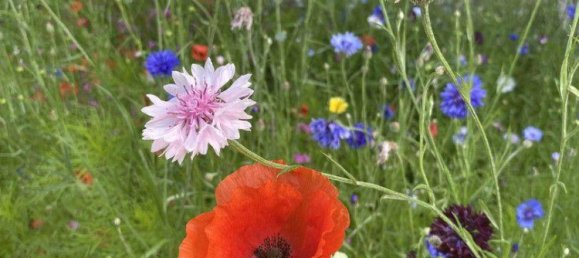 3 chambres Appartement à Seefeld in Tirol, Austria No. 149786 17