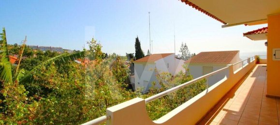 Hôtel à Canico, Portugal 1199m² No. 81771 14