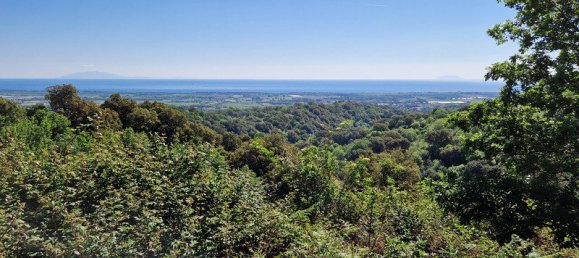 5 Schlafzimmer Haus in Sorbo-Ocagnano, France, Nr. 76343 13