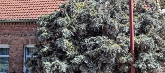 3 chambres Ferme à Stendal, Germany No. 134325 4