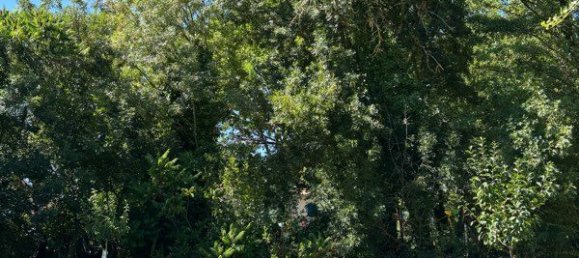 Casa de 4 dormitorios en Deux-Sevres, France No. 337084 17