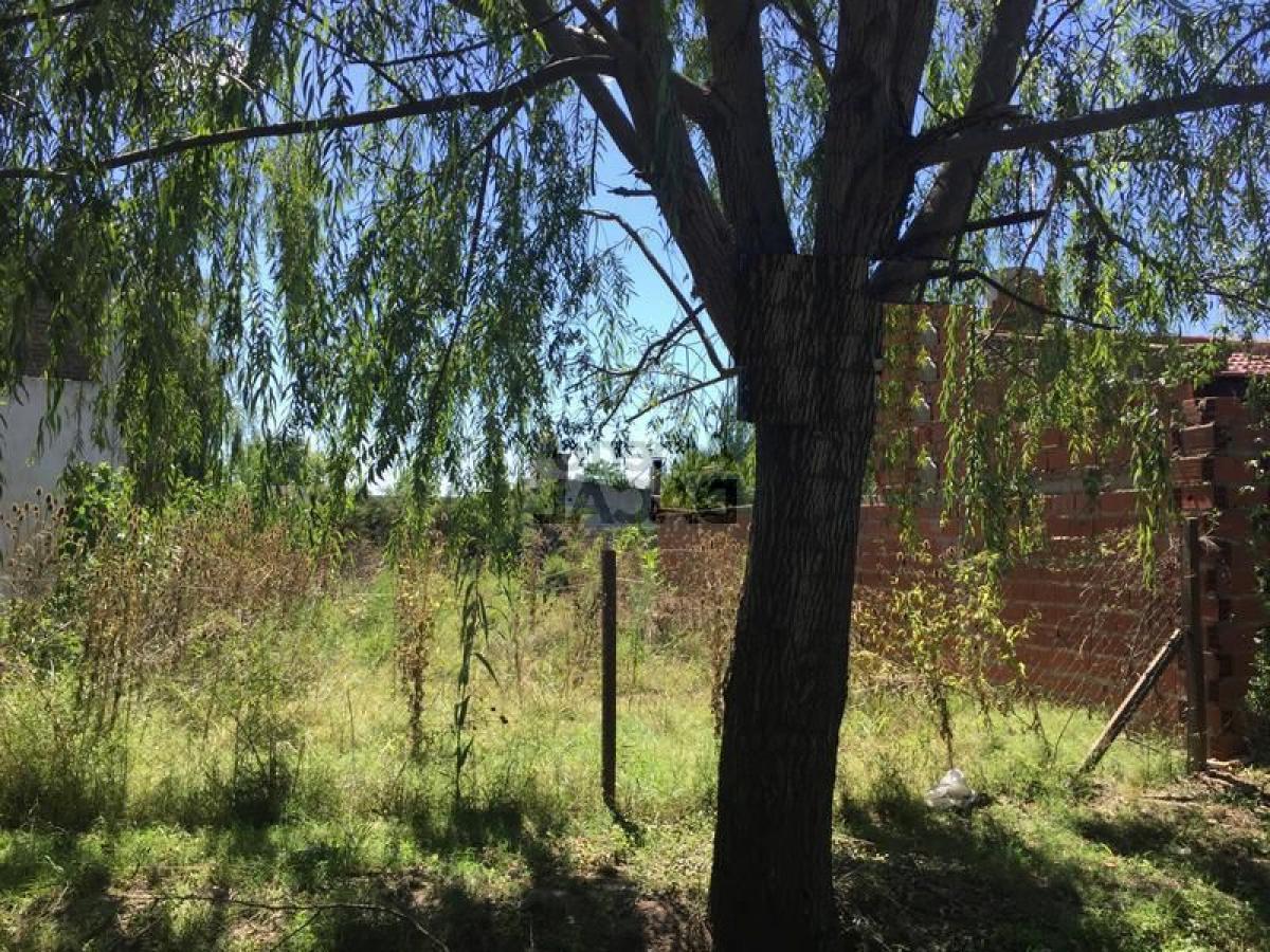 Terreno en Campo Creado, Argentina No. 45602