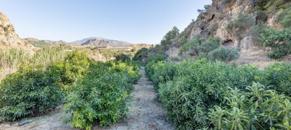 Terreno en Granada, Spain 82000 m² No. 153372 4