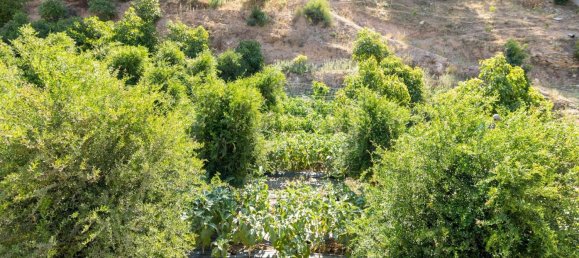 Terreno en Granada, Spain 82000 m² No. 153372 34