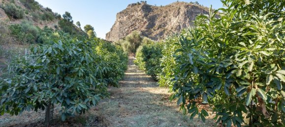 Terreno en Granada, Spain 82000 m² No. 153372 29