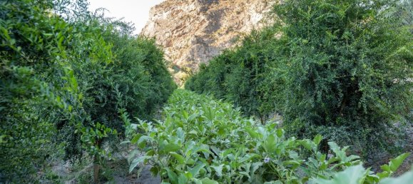 Terreno en Granada, Spain 82000 m² No. 153372 7