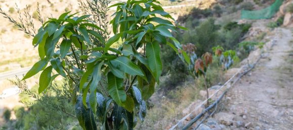 Terreno en Granada, Spain 82000 m² No. 153372 26