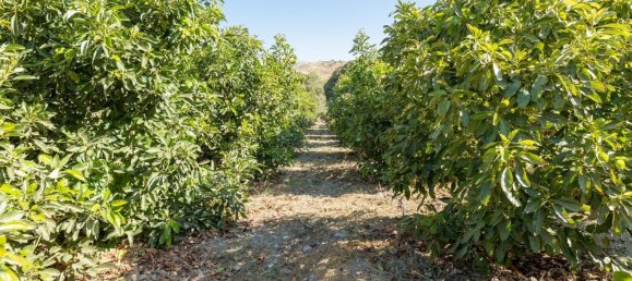 Terreno en Granada, Spain 82000 m² No. 153372 28