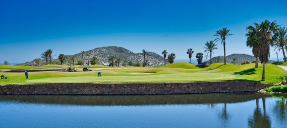 Бунгало с 3 спальнями в Пульпи, Испания № 9497 25