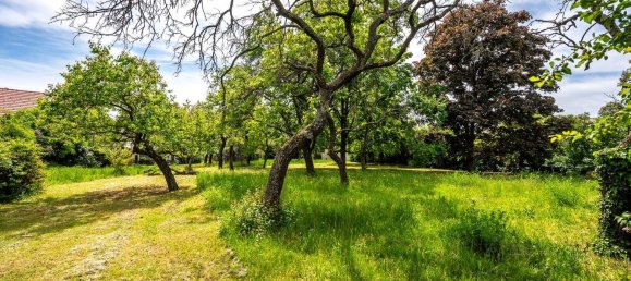 Land in Krems an der Donau, Austria No. 47596 11