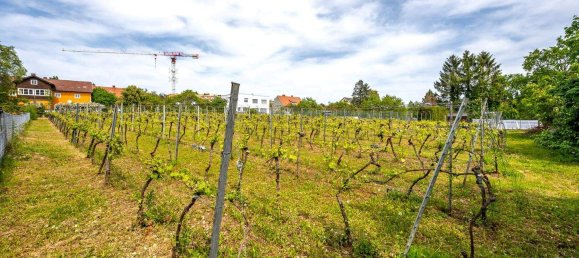 Land in Krems an der Donau, Austria No. 47596 9