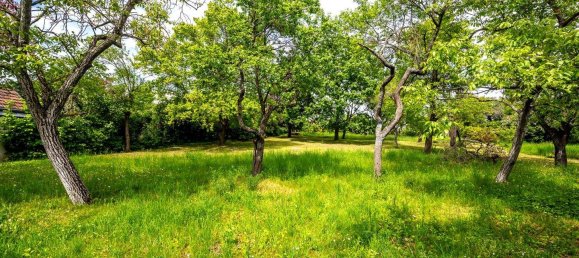 Land in Krems an der Donau, Austria No. 47596 14