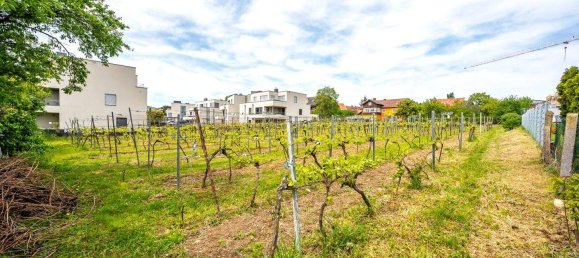 Land in Krems an der Donau, Austria No. 47596 8