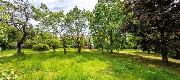 Land in Krems an der Donau, Austria No. 47596 10