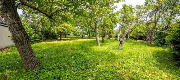 Land in Krems an der Donau, Austria No. 47596 13