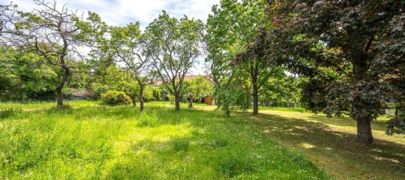 Land in Krems an der Donau, Austria No. 47596 12