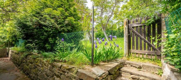 Land in Krems an der Donau, Austria No. 47596 7