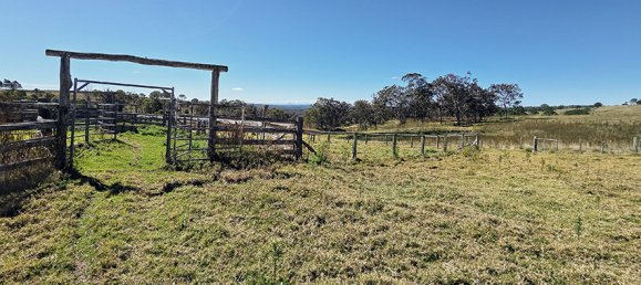 Haus in Crows Nest, Australia, Nr. 424 9