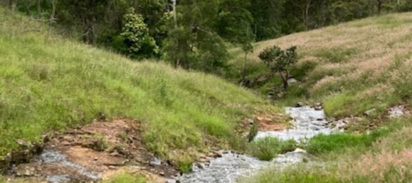 Haus in Crows Nest, Australia, Nr. 424 3