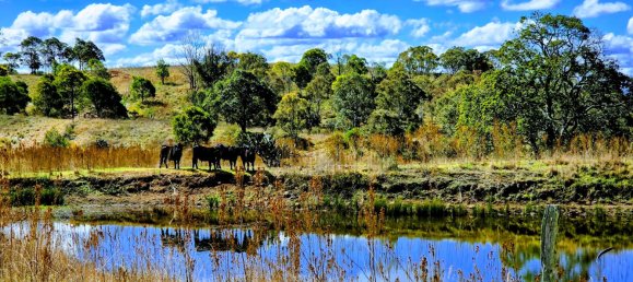 Haus in Crows Nest, Australia, Nr. 424 18