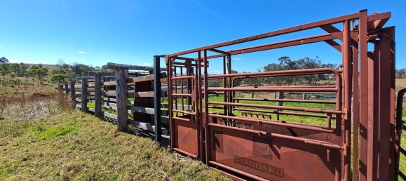 Haus in Crows Nest, Australia, Nr. 424 7