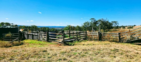 Haus in Crows Nest, Australia, Nr. 424 10