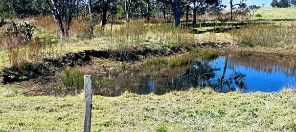 Haus in Crows Nest, Australia, Nr. 424 13