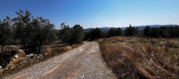 5 bedrooms House in Bucine, Italy No. 323230 37