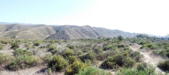  قطعة أرض في Almeria, Spain 36000متر مربع رقم 66816 6