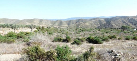  قطعة أرض في Almeria, Spain 36000متر مربع رقم 66816 5