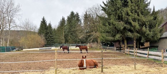 6 Schlafzimmer Bauernhof in Vogelsbergkreis, Germany, Nr. 224964 5
