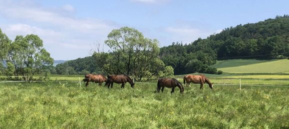 6 Schlafzimmer Bauernhof in Vogelsbergkreis, Germany, Nr. 224964 7