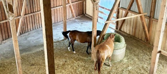 6 Schlafzimmer Bauernhof in Vogelsbergkreis, Germany, Nr. 224964 3
