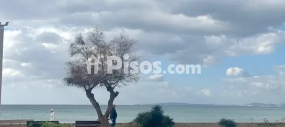 Apartamento de 3 dormitorios en Palma de Mallorca, Spain No. 172127 9