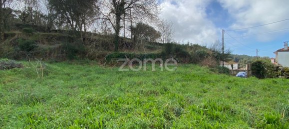  Land in Antas, Portugal No. 38490 7