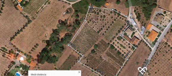 Terreno en Nelas, Portugal No. 68505 8