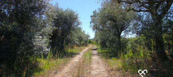 Terreno en Nelas, Portugal No. 68505 2