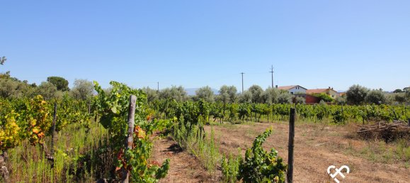 Terreno en Nelas, Portugal No. 68505 5