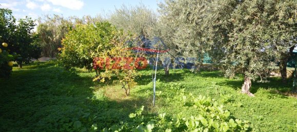 5-salle Villa à Corigliano Rossano, Italy No. 73259 27