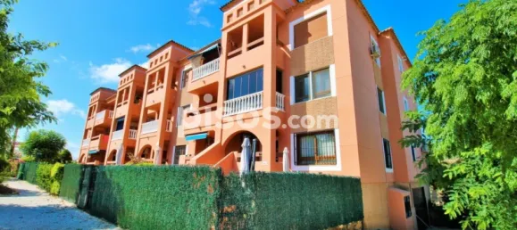2 chambres Appartement à Alicante, Spain No. 134112 30