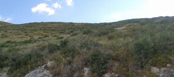 Grundstück in Zakynthos, Greece, Nr. 846 3