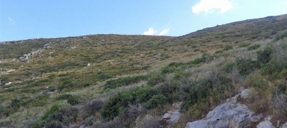 Grundstück in Zakynthos, Greece, Nr. 846 5