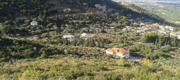 Grundstück in Zakynthos, Greece, Nr. 846 6