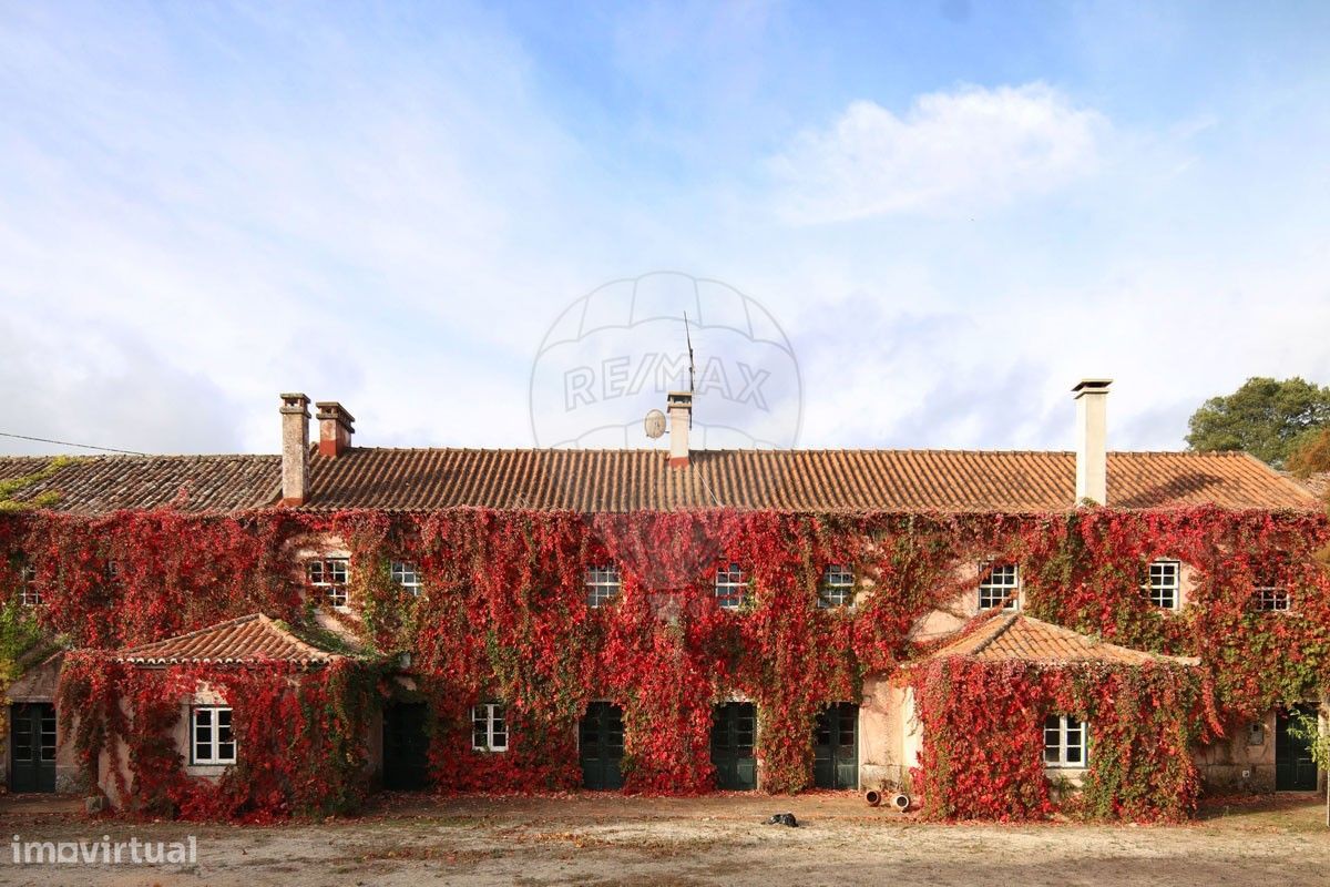 9 bedrooms House in Torres Vedras, Portugal No. 350504