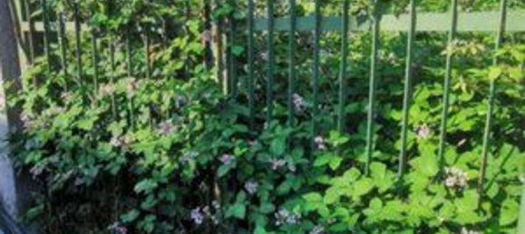 Villa de 3 dormitorios en Rho, Italy No. 373118 22