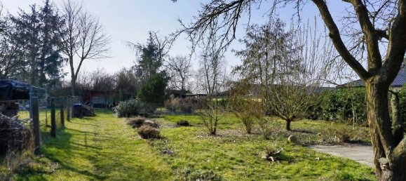 8-Zimmer Stadthaus in Vorpommern-Greifswald, Germany, Nr. 138820 10