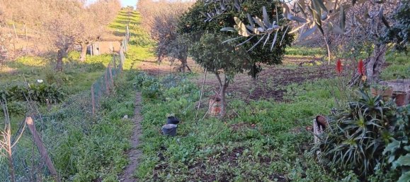 Casa de 2 dormitorios en Portalegre, Portugal No. 20954 19