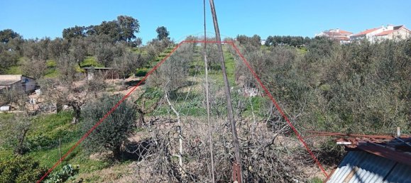 Casa de 2 dormitorios en Portalegre, Portugal No. 20954 17