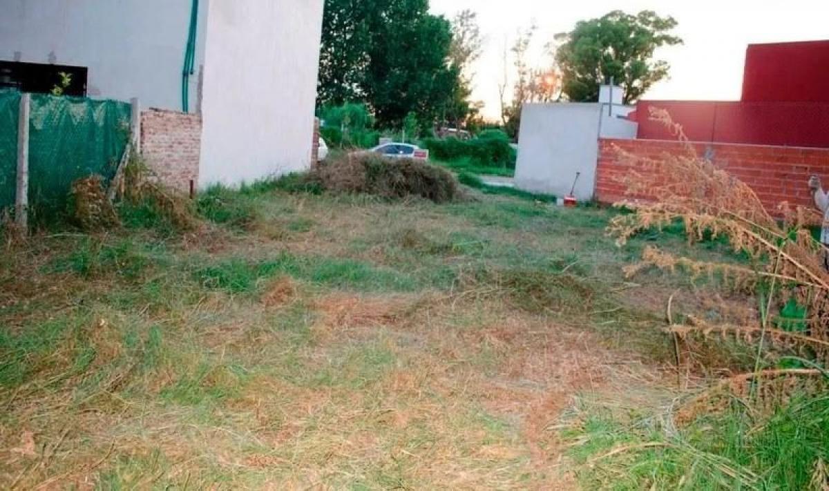  Land in Corrientes, Argentina No. 40350